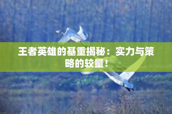 王者英雄的基重揭秘：实力与策略的较量！
