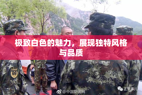 极致白色的魅力，展现独特风格与品质