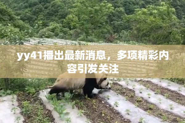 yy41播出最新消息，多项精彩内容引发关注