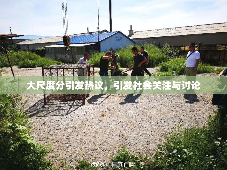 大尺度分引发热议，引发社会关注与讨论