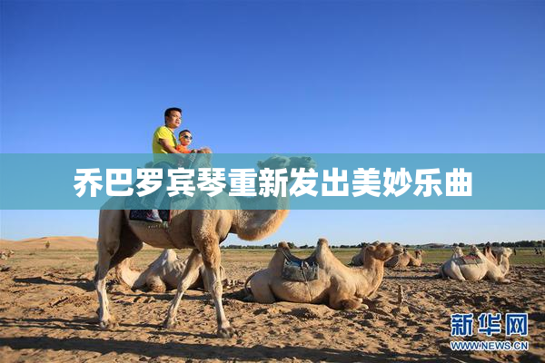 乔巴罗宾琴重新发出美妙乐曲
