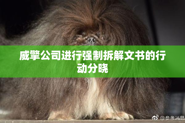 威擎公司进行强制拆解文书的行动分晓