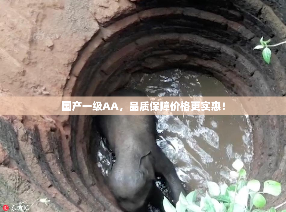 国产一级AA，品质保障价格更实惠！