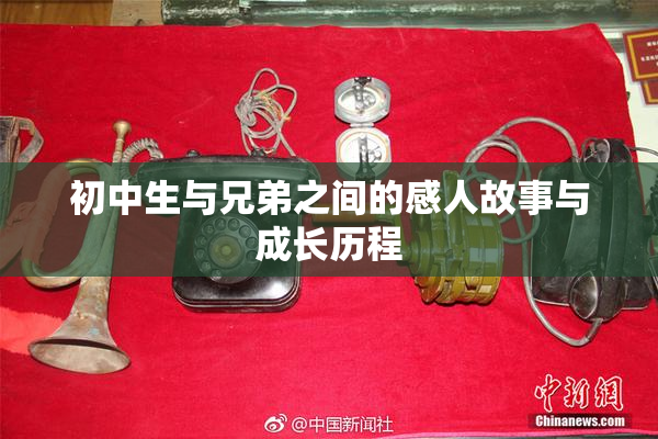 初中生与兄弟之间的感人故事与成长历程