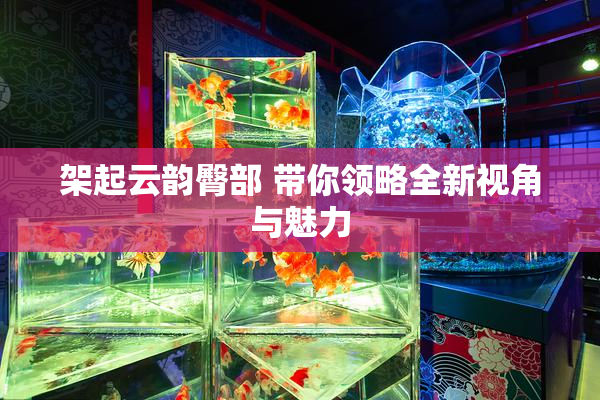 架起云韵臀部 带你领略全新视角与魅力