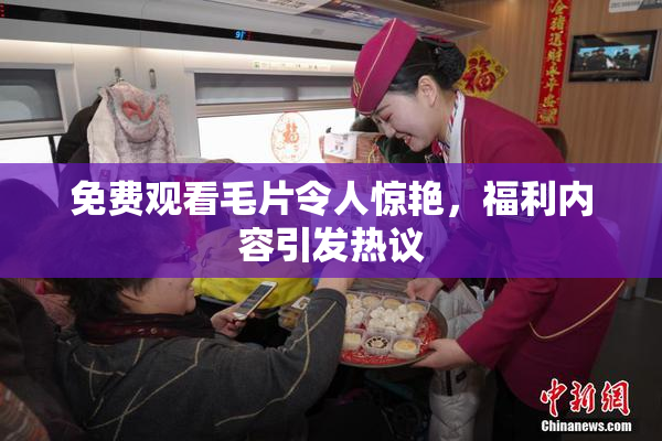 免费观看毛片令人惊艳，福利内容引发热议