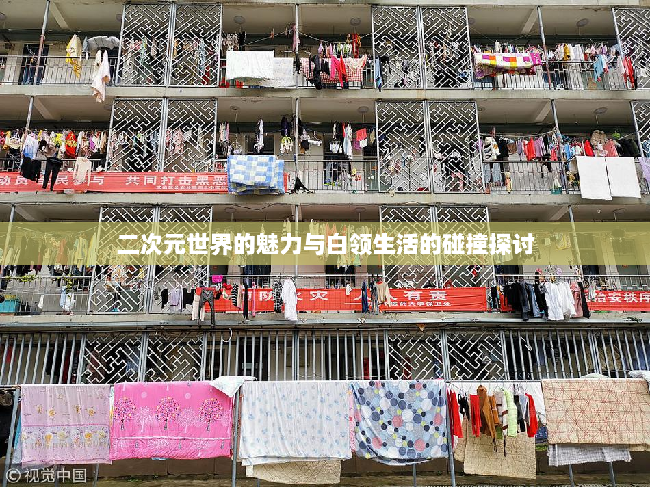二次元世界的魅力与白领生活的碰撞探讨