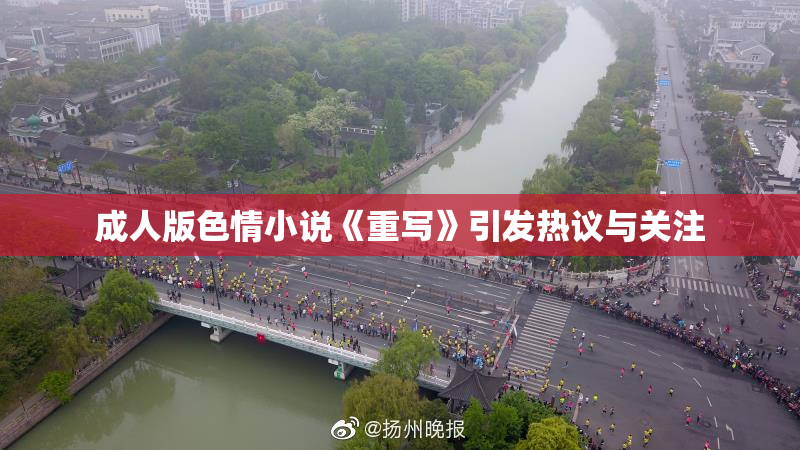 成人版色情小说《重写》引发热议与关注