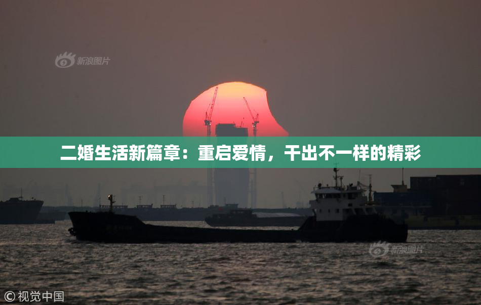 二婚生活新篇章：重启爱情，干出不一样的精彩