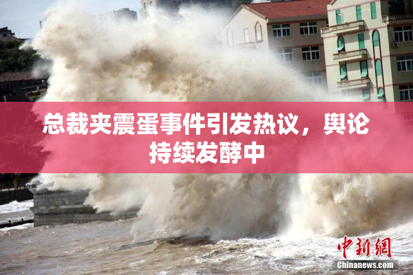 总裁夹震蛋事件引发热议，舆论持续发酵中