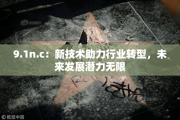 9.1n.c：新技术助力行业转型，未来发展潜力无限
