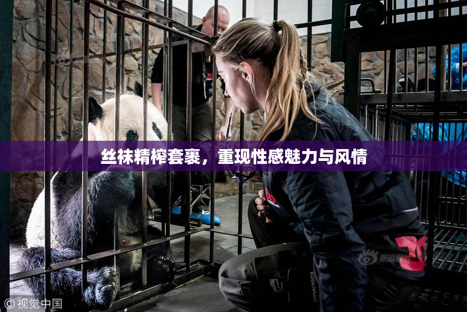 丝袜精榨套裹，重现性感魅力与风情