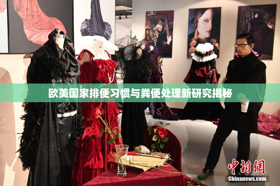 欧美国家排便习惯与粪便处理新研究揭秘