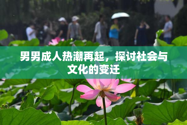 男男成人热潮再起，探讨社会与文化的变迁
