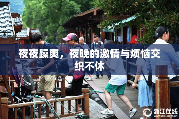 夜夜躁爽，夜晚的激情与烦恼交织不休