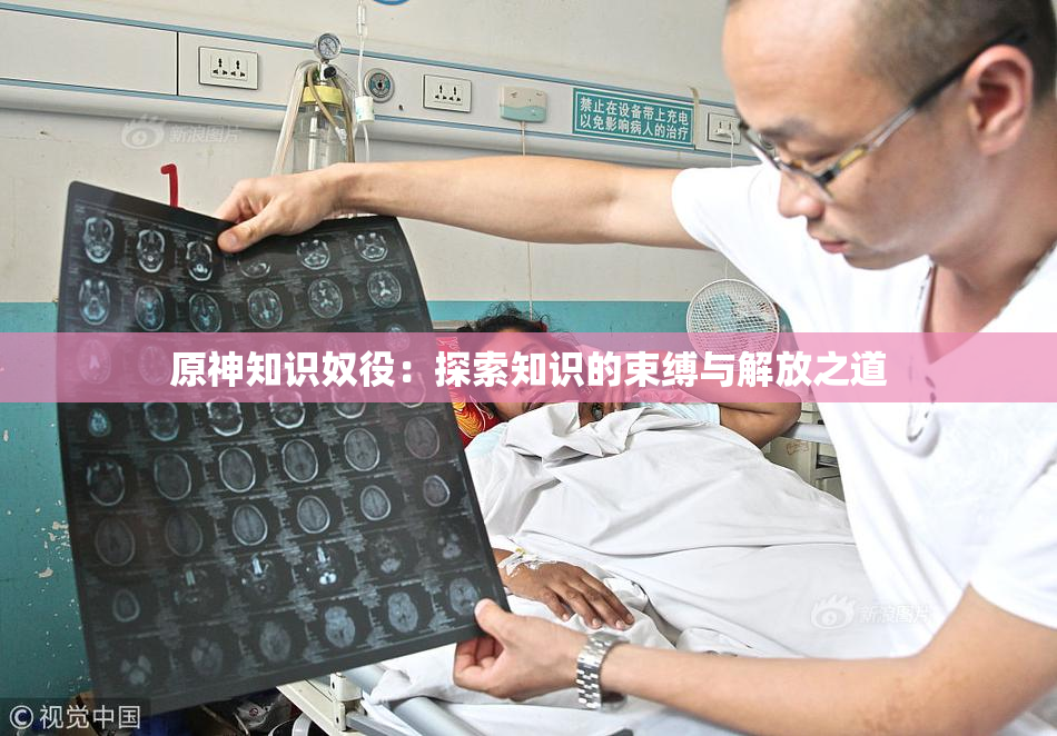 原神知识奴役：探索知识的束缚与解放之道