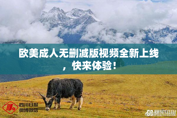 欧美成人无删减版视频全新上线，快来体验！