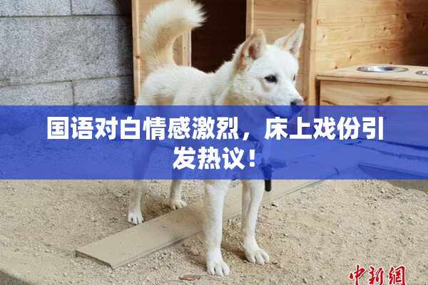 国语对白情感激烈，床上戏份引发热议！
