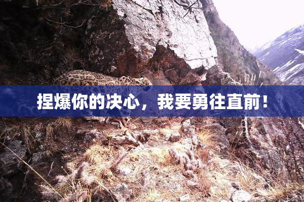 捏爆你的决心，我要勇往直前！