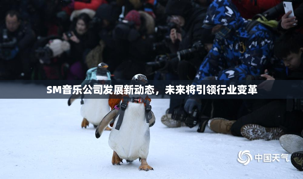 SM音乐公司发展新动态，未来将引领行业变革