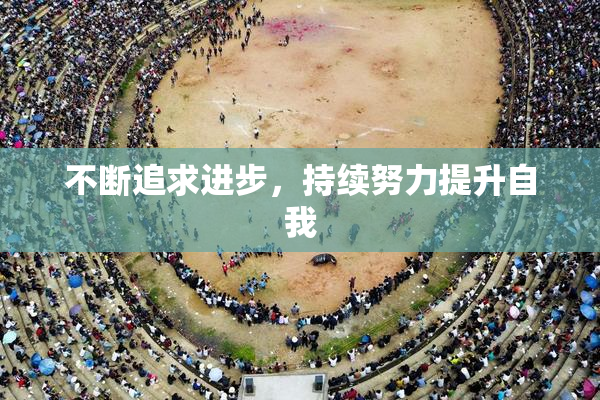 不断追求进步，持续努力提升自我
