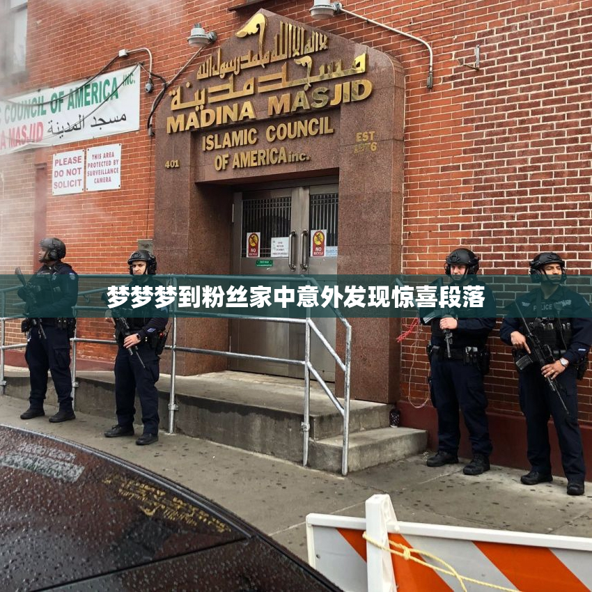 梦梦梦到粉丝家中意外发现惊喜段落