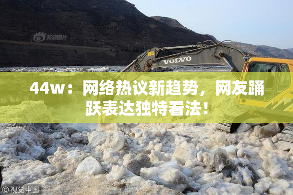 44w：网络热议新趋势，网友踊跃表达独特看法！