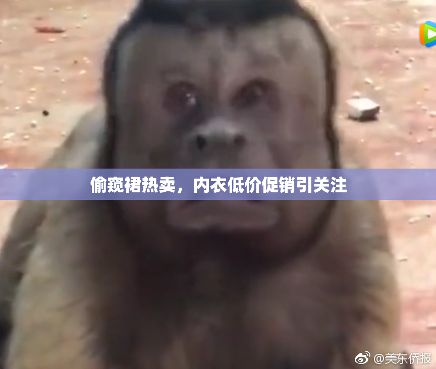 偷窥裙热卖，内衣低价促销引关注