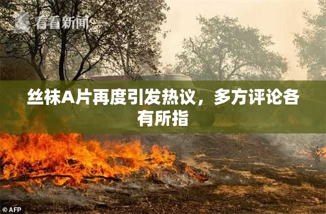 丝袜A片再度引发热议，多方评论各有所指