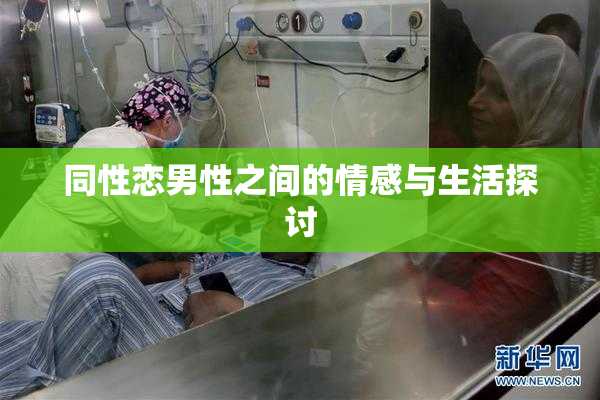 同性恋男性之间的情感与生活探讨
