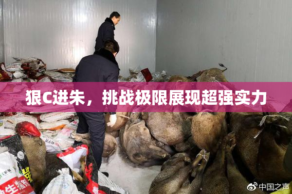 狠C进朱，挑战极限展现超强实力