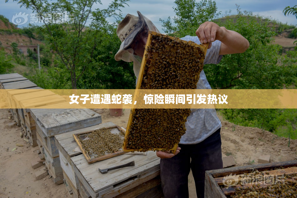女子遭遇蛇袭，惊险瞬间引发热议