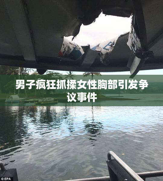 男子疯狂抓揉女性胸部引发争议事件