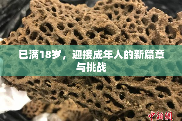 已满18岁，迎接成年人的新篇章与挑战