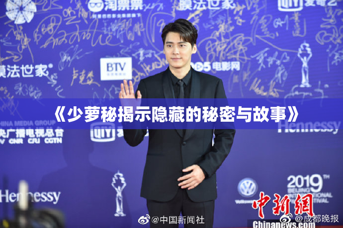 《少萝秘揭示隐藏的秘密与故事》