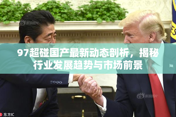 97超碰国产最新动态剖析，揭秘行业发展趋势与市场前景