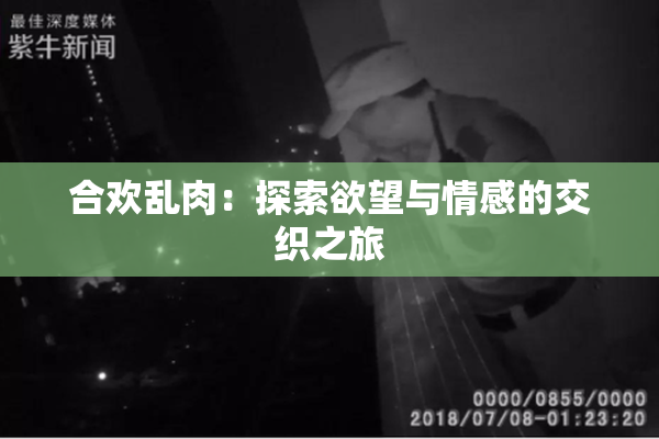 合欢乱肉：探索欲望与情感的交织之旅