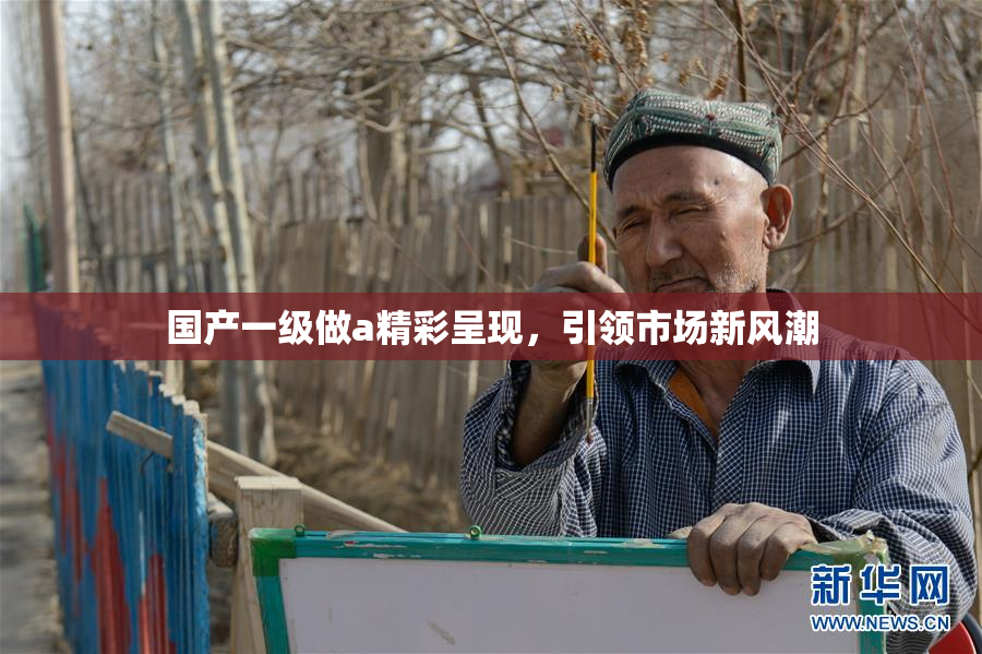 国产一级做a精彩呈现，引领市场新风潮