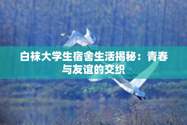 白袜大学生宿舍生活揭秘：青春与友谊的交织