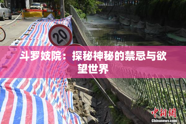 斗罗妓院：探秘神秘的禁忌与欲望世界