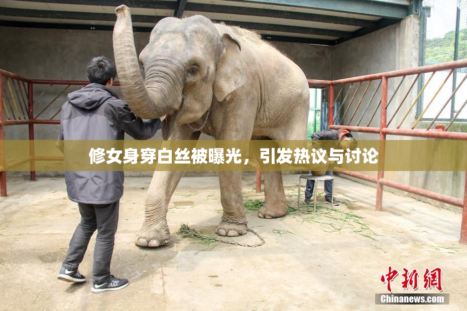 修女身穿白丝被曝光，引发热议与讨论
