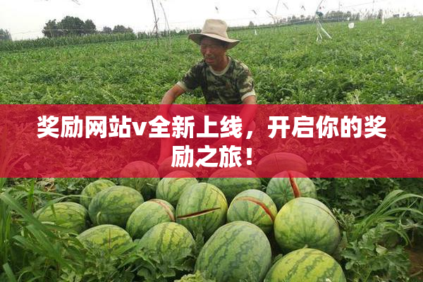 奖励网站v全新上线，开启你的奖励之旅！