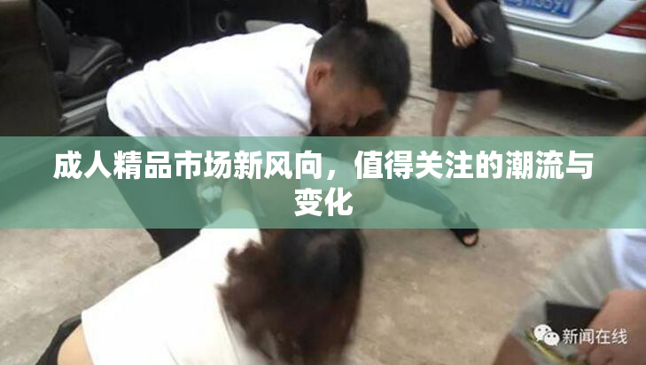 成人精品市场新风向，值得关注的潮流与变化