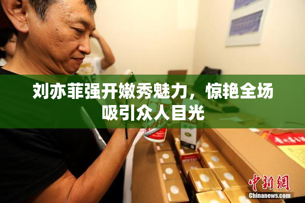 刘亦菲强开嫩秀魅力，惊艳全场吸引众人目光