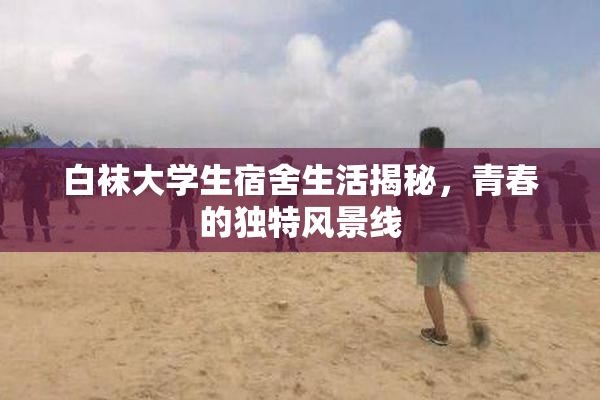 白袜大学生宿舍生活揭秘，青春的独特风景线