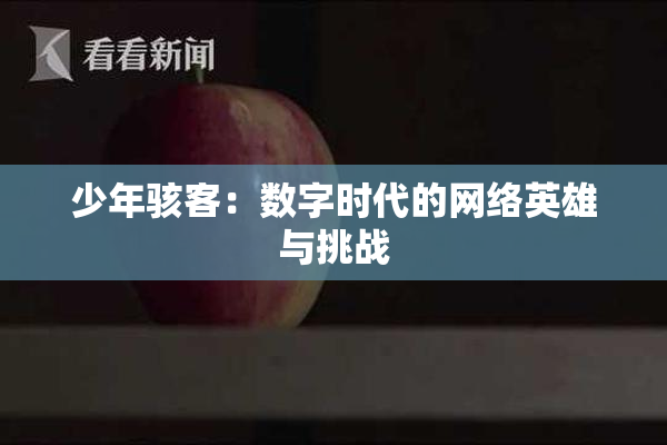 少年骇客：数字时代的网络英雄与挑战