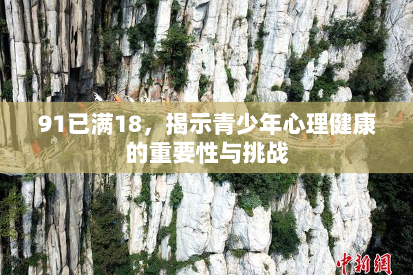 91已满18，揭示青少年心理健康的重要性与挑战