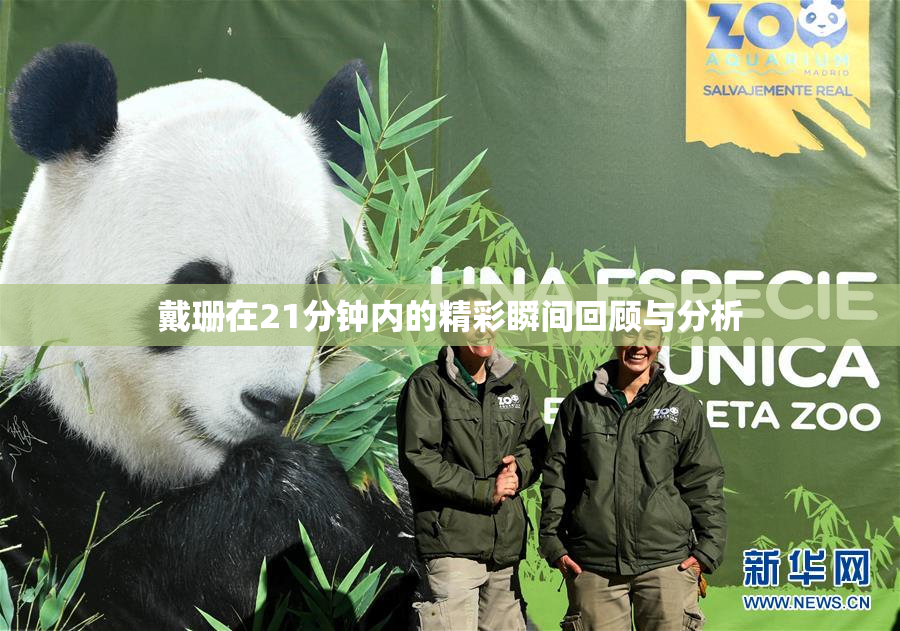 戴珊在21分钟内的精彩瞬间回顾与分析