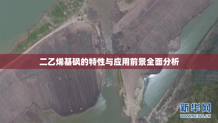 二乙烯基砜的特性与应用前景全面分析