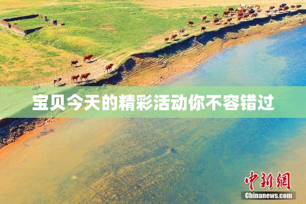 宝贝今天的精彩活动你不容错过